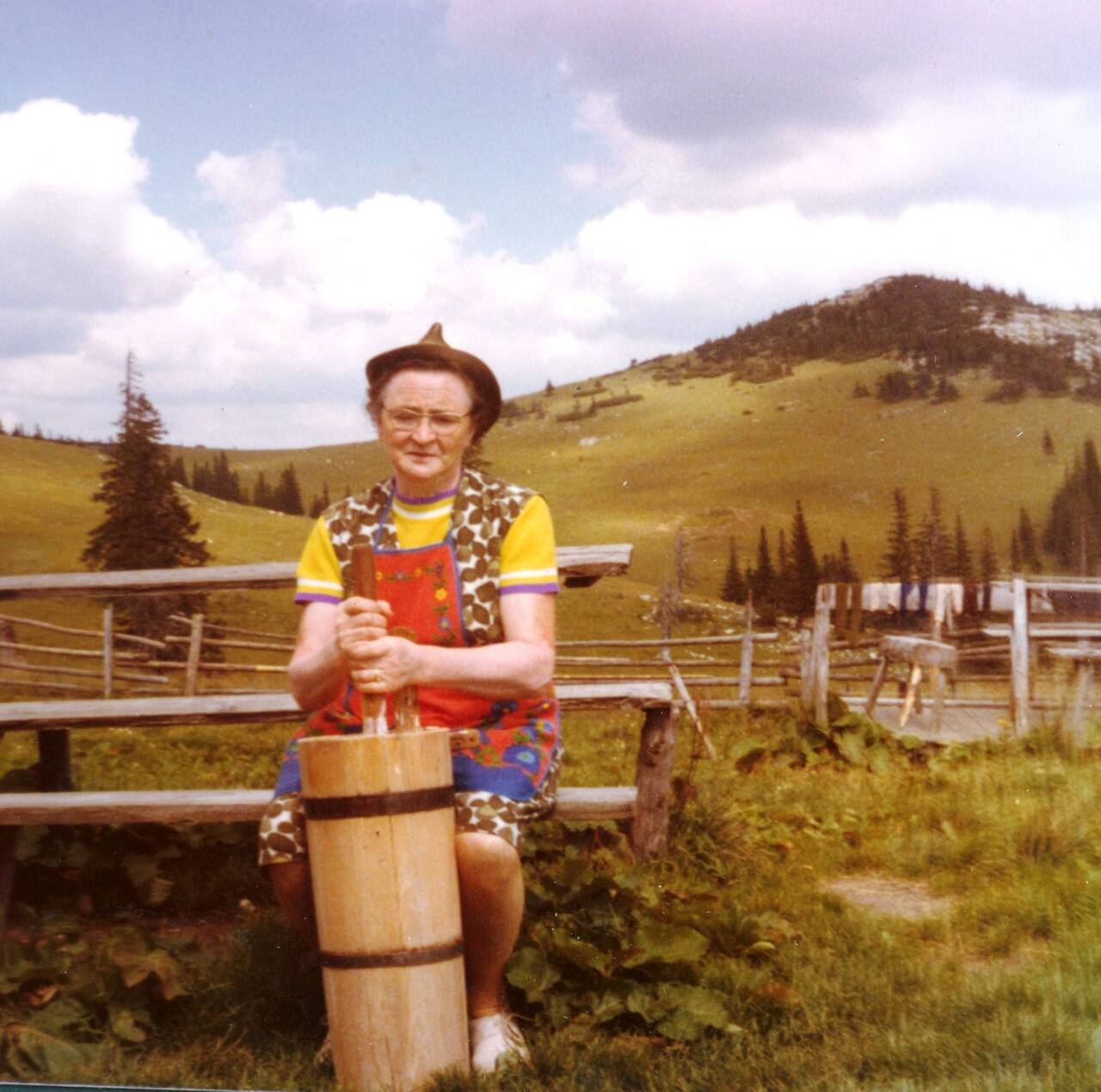 St.Veit/Gölsen Steinwandleiten Büchinger Barbara